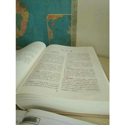 中國考古學大辭典