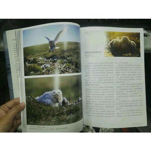 永恒的時光之旅