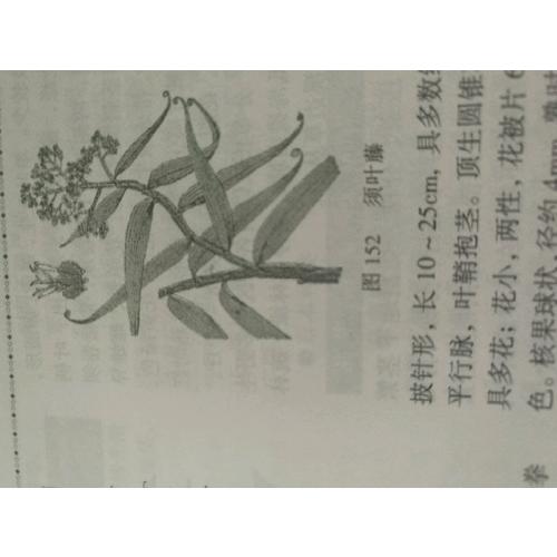 作庭記：自然式庭院設計法則