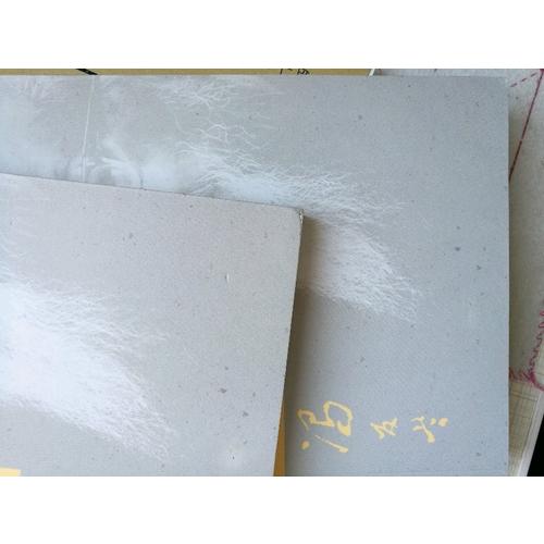 中國(guó)哲學(xué)史（全二冊(cè)）