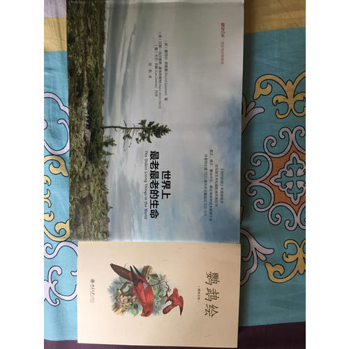 世界上最老最老的生命+鸚鵡繪(共2冊)