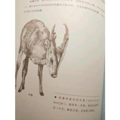 香港方物志（珍藏版）