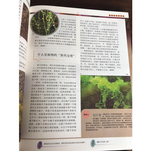 十萬個為什么 第六版（全18冊）