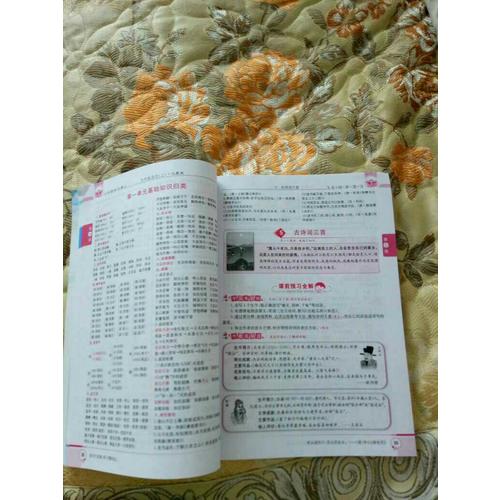 2017秋 小學教材全解 五年級語文上