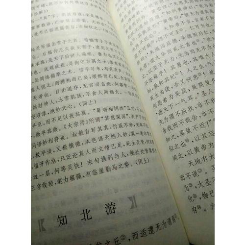 莊子鑒賞辭典