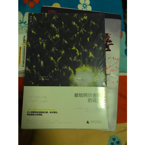 獻給阿爾吉儂的花束（新譯本）
