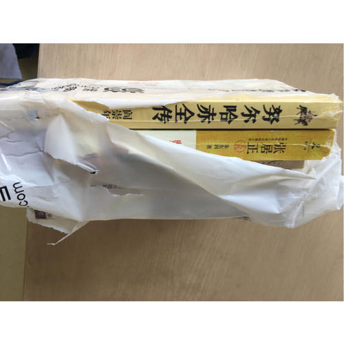 張居正大傳:在險惡官場實現人生抱負的精英成長經歷