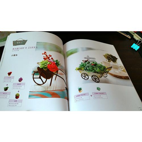 原來是黏土：丸子的彩色多肉植物日記