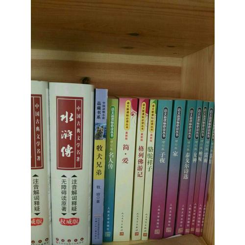 2017年中考英語滿分作文（全2冊）