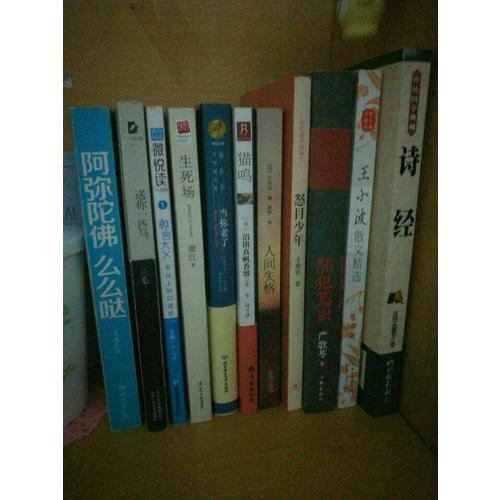 諾貝爾文學獎大系·當你老了