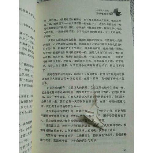 畢淑敏散文精選