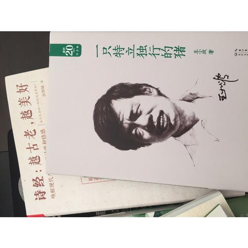 一只特立獨(dú)行的豬：王小波經(jīng)典作品集（20周年紀(jì)念版）