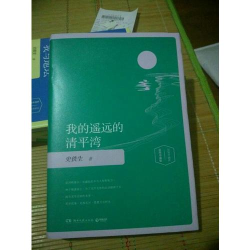 我的遙遠的清平灣（精裝）