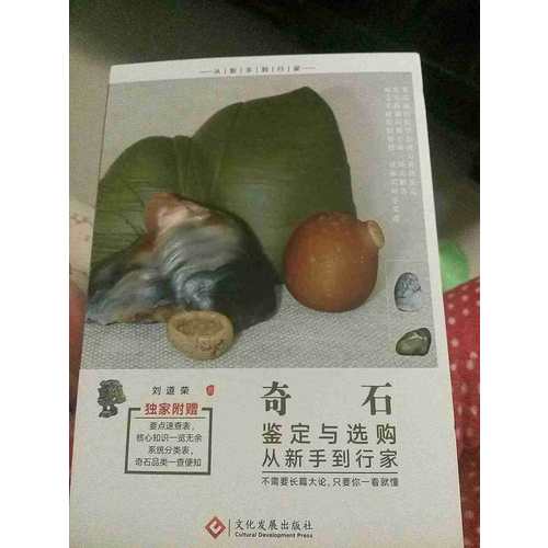 奇石鑒定與選購從新手到行家