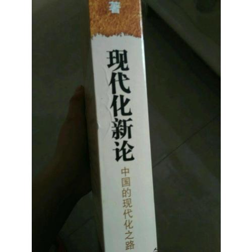 現(xiàn)代化新論·中國的現(xiàn)代化之路（增訂本）