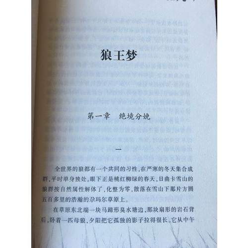 動物小說大王沈石溪·品藏書系：狼王夢