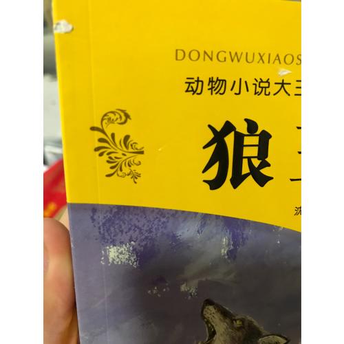 動物小說大王沈石溪·品藏書系：狼王夢