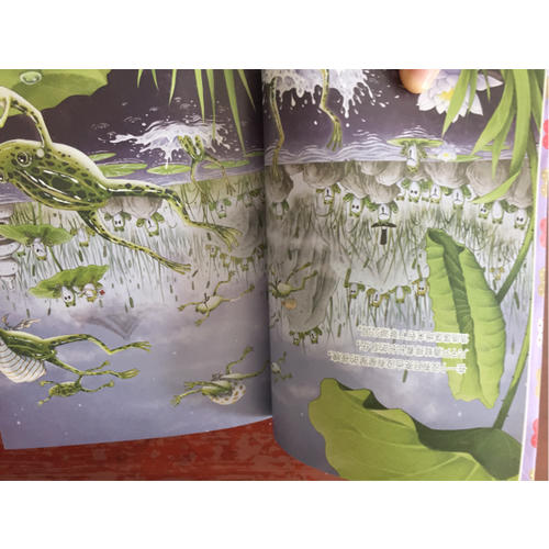 笑貓日記·青蛙合唱團(tuán)