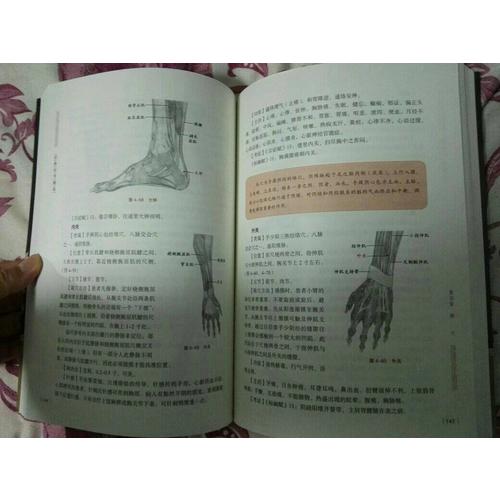 經(jīng)絡(luò)醫(yī)學(xué)概論
