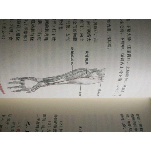 經(jīng)絡(luò)醫(yī)學(xué)概論