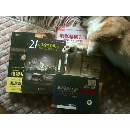 21天搞定電影劇本