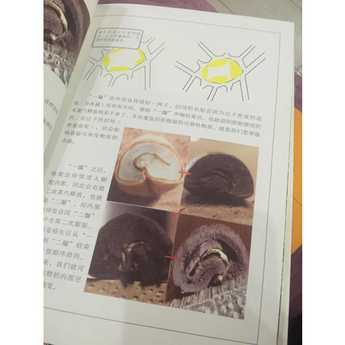 手沖咖啡·咖啡達人的必修課
