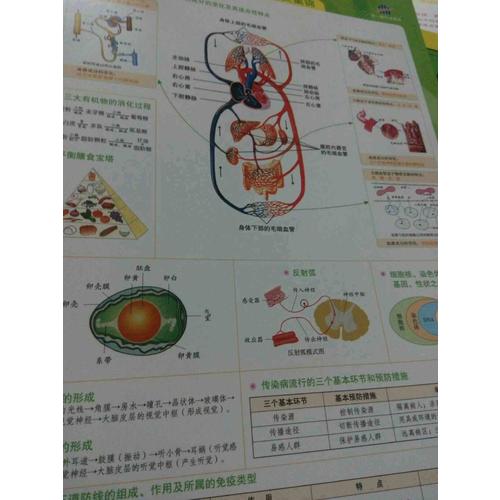 生物 初中知識清單