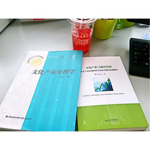 文化產(chǎn)業(yè)與城市發(fā)展·文化產(chǎn)業(yè)對城市的作用及中國的發(fā)展模式