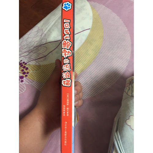 一只名叫鮑勃的流浪貓 (升級版)