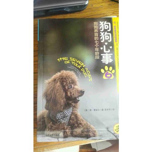 狗狗心事6：狗狗養育的七個年齡段