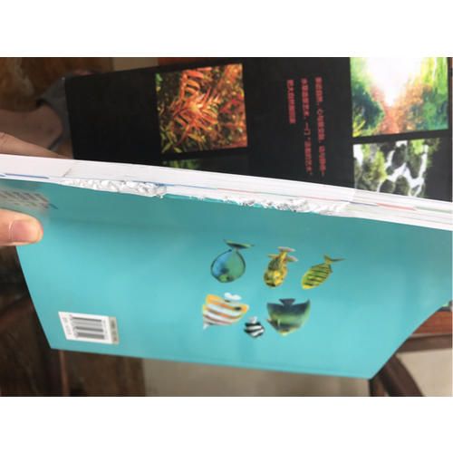 熱帶魚·水草圖鑒：近400種熱帶魚及水草賞析與飼養(yǎng)技巧