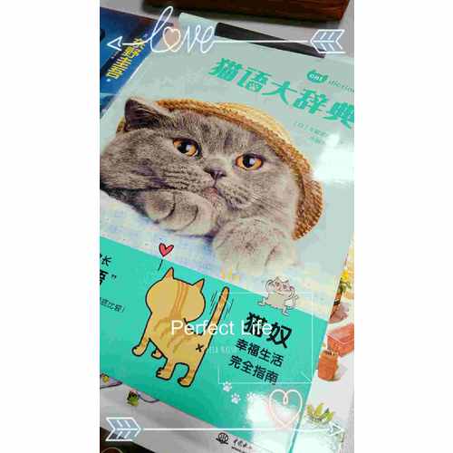 貓語大辭典