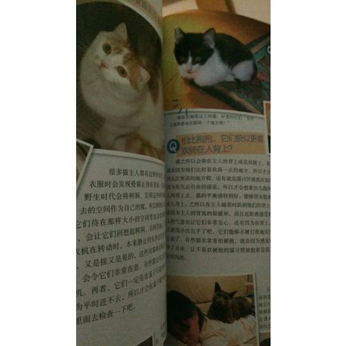 貓語大辭典