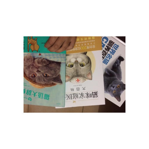貓語大辭典