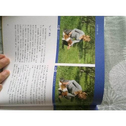 如何訓練小狗