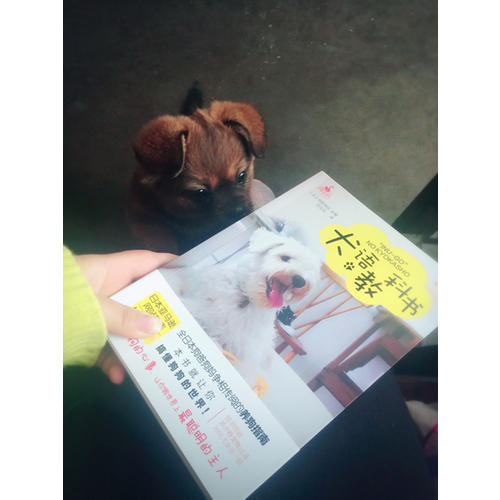 犬語教科書