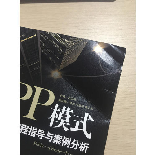 PPP模式：全流程指導與案例分析