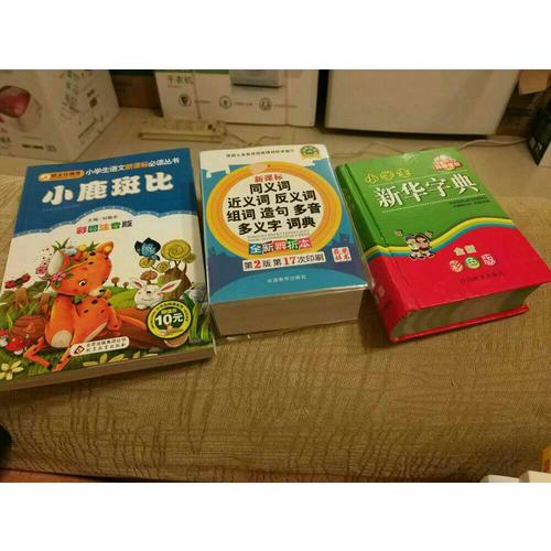 小學生新華字典（全新彩色版）