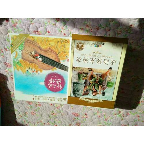 成語接龍游戲 新課標小學語文閱讀叢書彩繪注音版（第六輯）