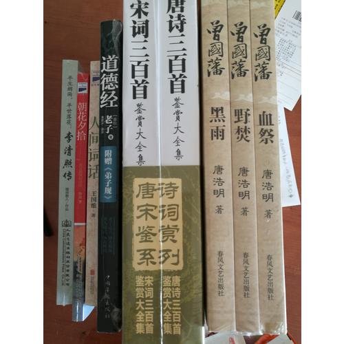 唐詩宋詞鑒賞系列（全2冊）