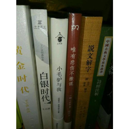 唯有悲傷不撒謊