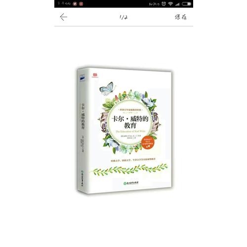 卡爾·威特的教育
