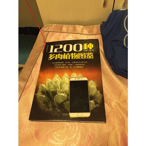 1200種多肉植物圖鑒（漢竹）