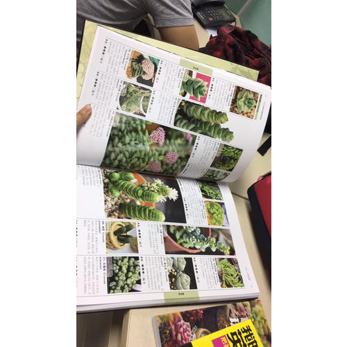 1200種多肉植物圖鑒（漢竹）