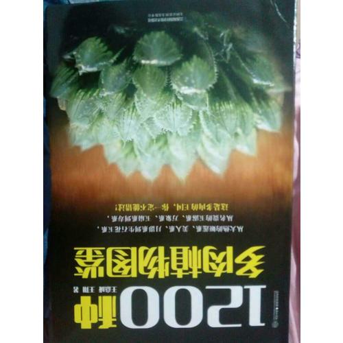 1200種多肉植物圖鑒（漢竹）