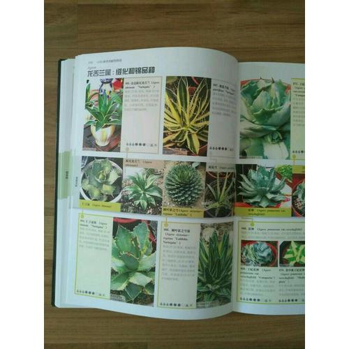 1200種多肉植物圖鑒（漢竹）