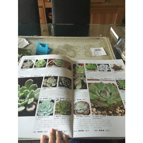 1200種多肉植物圖鑒（漢竹）