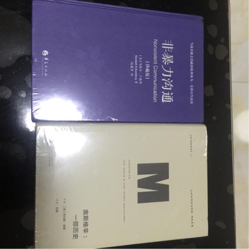 奧斯維辛：一部歷史