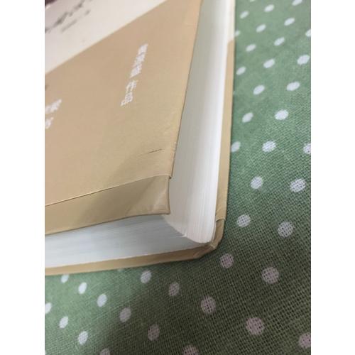 中國法史導論