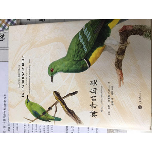 神奇的鳥類